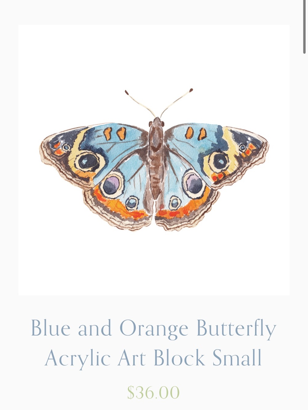 Blue and Orange Butterfly Acrylic Art Block Small - Home Accents